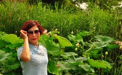 精品国品一二三产品区别在线观看